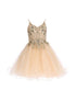 Girls Multi Color Illusion Sparkly Tulle Special Occasion Dress 4-16 - SophiasStyle.com